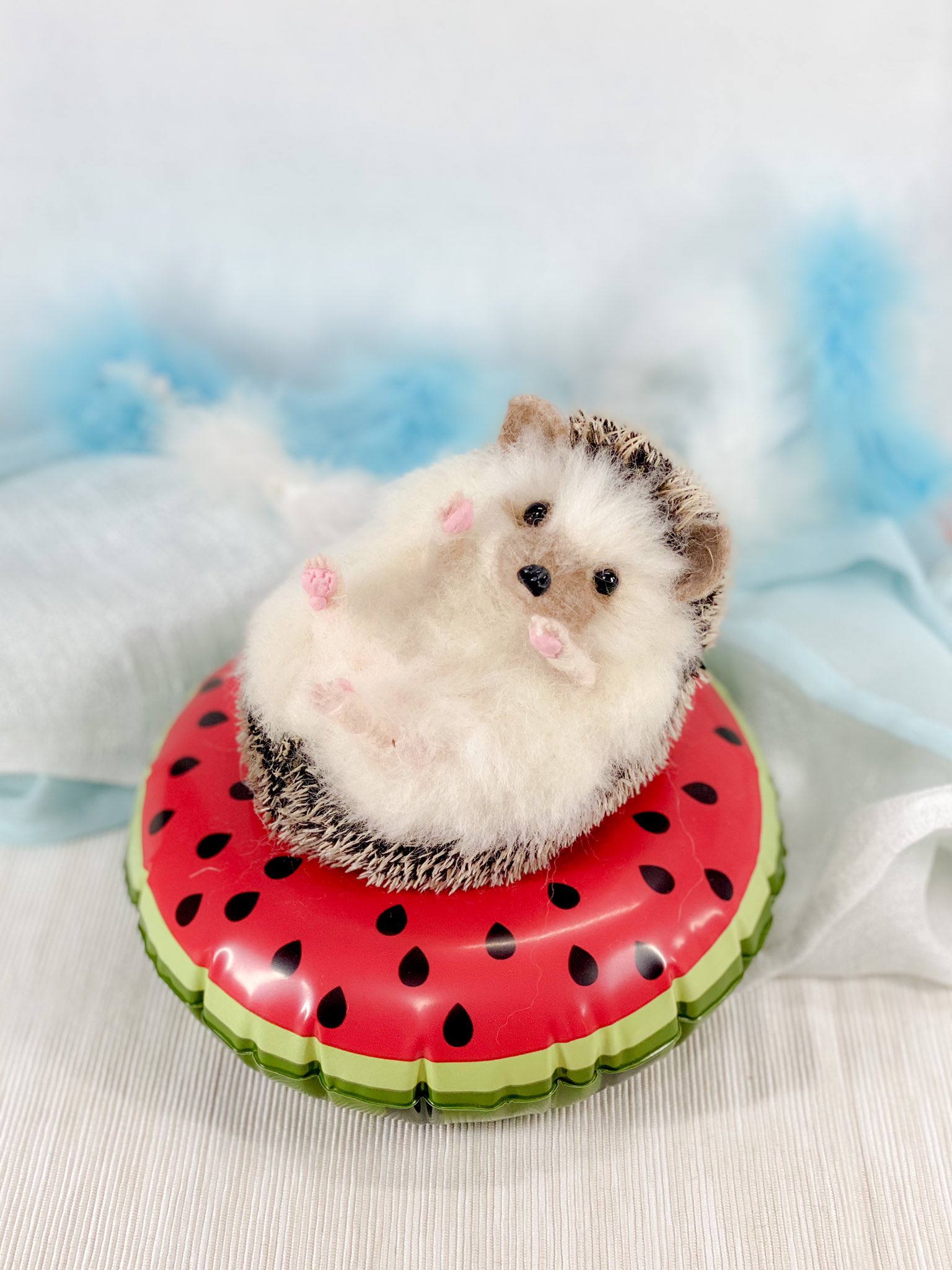 受注製作】動くよ❤羊毛フェルトハリネズミ 【公式通販】