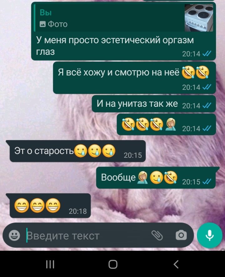 AnaNasty13's tweet photo. Отмыла плитку и унитаз, и хожу не нарадуюсь, сказали, что это старость😅😂 https://t.co/Y26Lm3G4l5