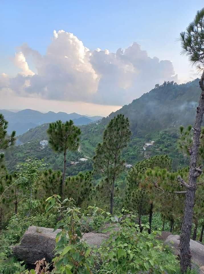 Zalmay_da_Swabi's tweet photo. نور د مهابڼ سيلونه پريږده
څو به دي زلفې له خنډانو خلاصومه
#ټپه 
#Mahaban
#Swabi 
#TwitterHujra https://t.co/3dkDqXIvE6