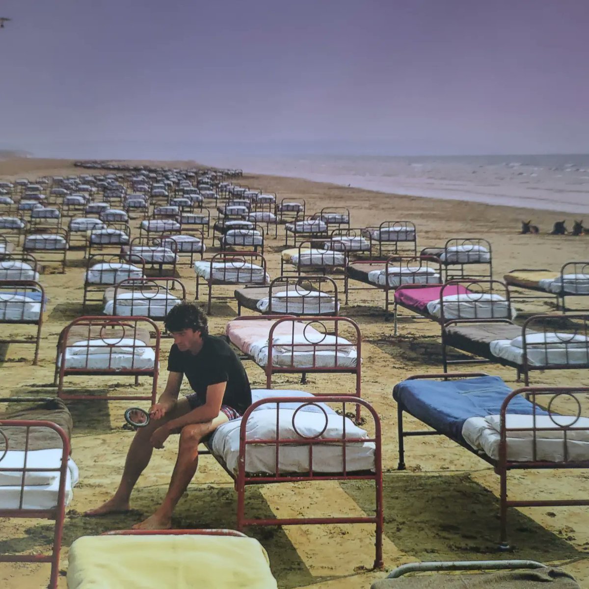 VinylAndrew's tweet photo. -A Momentary Lapse Of Reason by @pinkfloyd
-Cat. No. PFRLP13
-Made by Optimal Media GmbH
-Cut, mastered and remastered by Bernie Grundman
-Released in 2017 by Pink Floyd Records
#pinkfloyd #reissuedrecord #gatefoldalbum #berniegrundman #pinkfloydrecords #vinylnerd https://t.co/XNUZYJMTGY