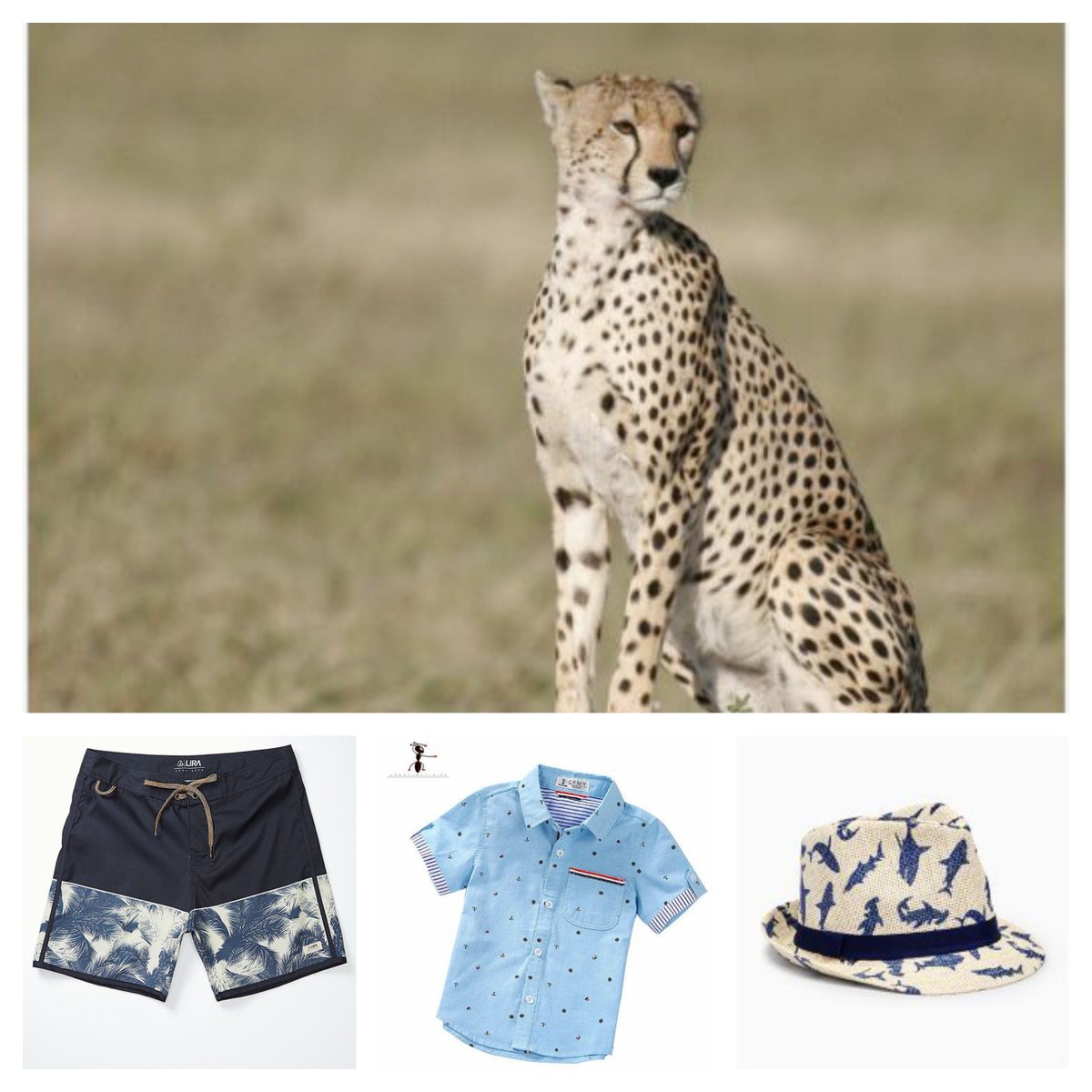 Kareem77036412's tweet photo. @partyswapdex This is my entry for the PartySwap character contest.

He is a leopard "PARDY" and his beach style brings confidence and security to the Avalanche and PartySwap ecosystem.
#YAY #YAYtoken #AvalancheRush https://t.co/54SRmtZc7o