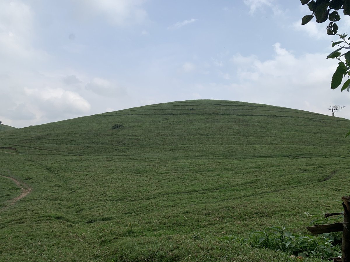 TSONGOKASEREKA1's tweet photo. Découvrez la zone de Lubero : Un paradis  de verdure - Green Pastures Paradise https://t.co/Ib0y9W2i5J