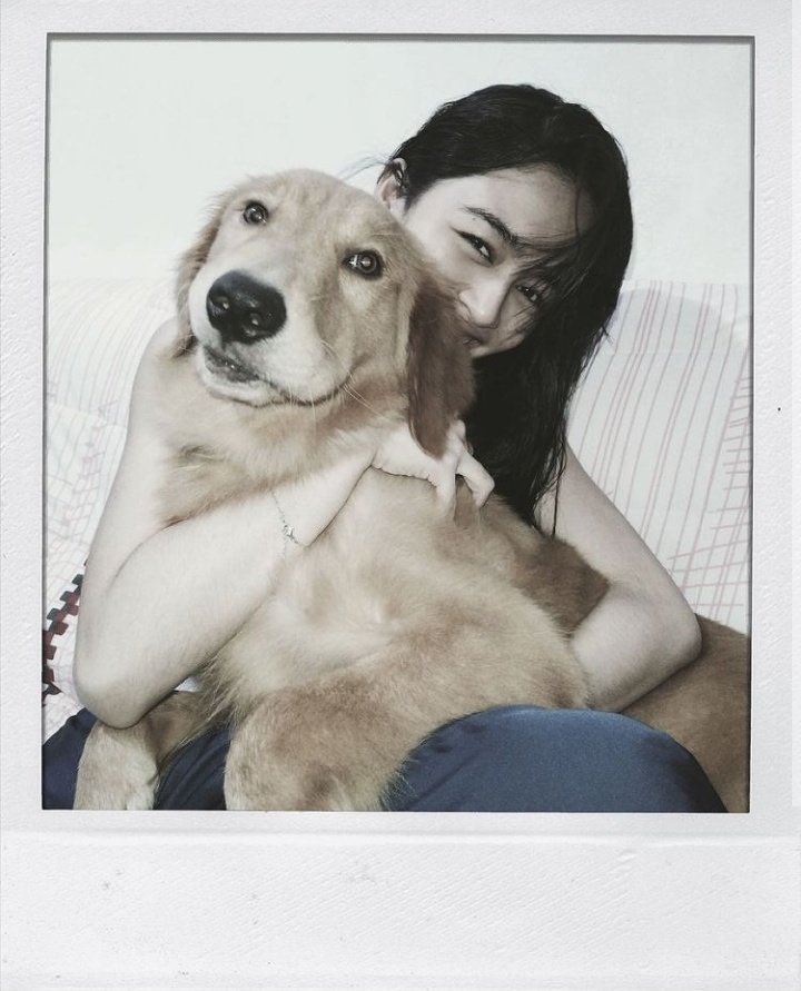 thegoldenpercy's tweet photo. moma and i 🐶 paw-ever! #goldenretriever #goldenpuppy

08-21-21 
@vivoree https://t.co/mxN5Td2ODD