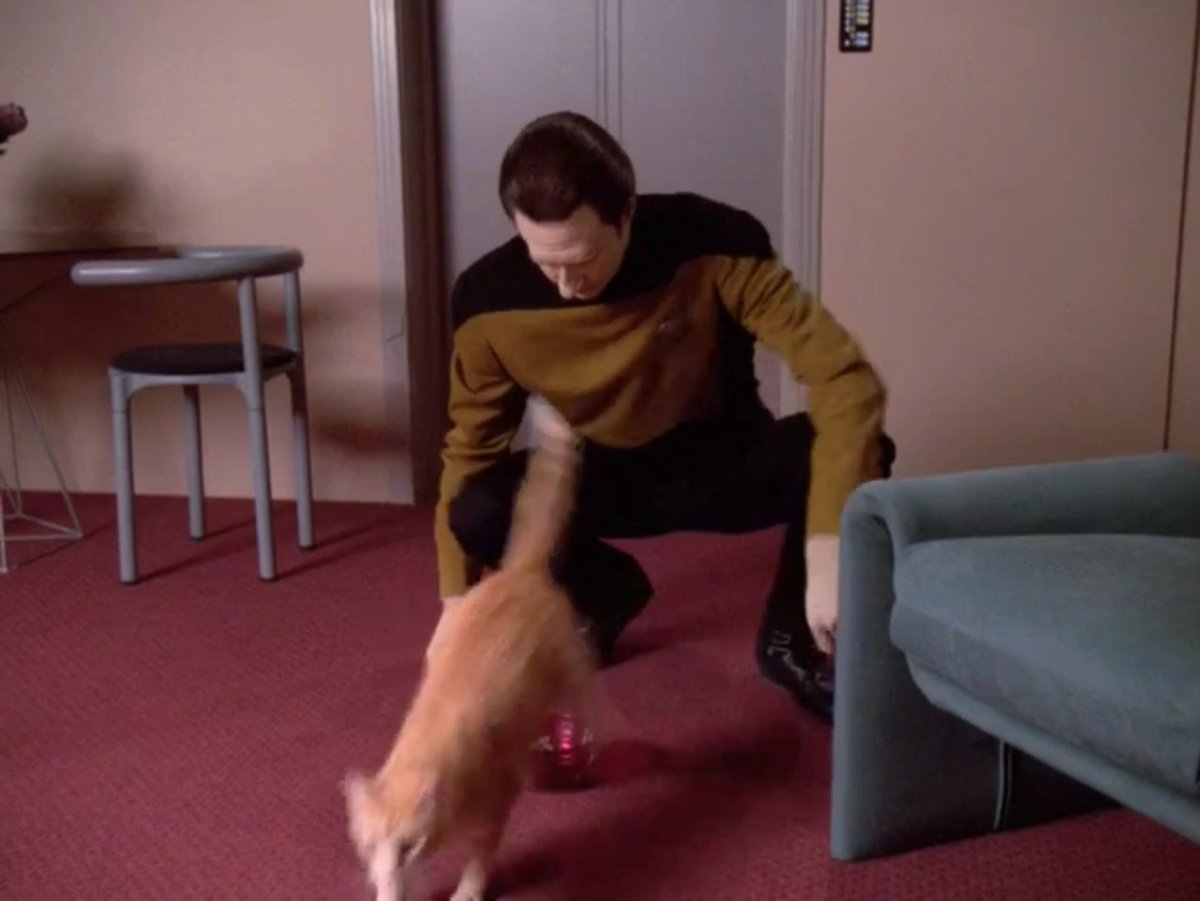 [6x8 - 'a fistful of datas']