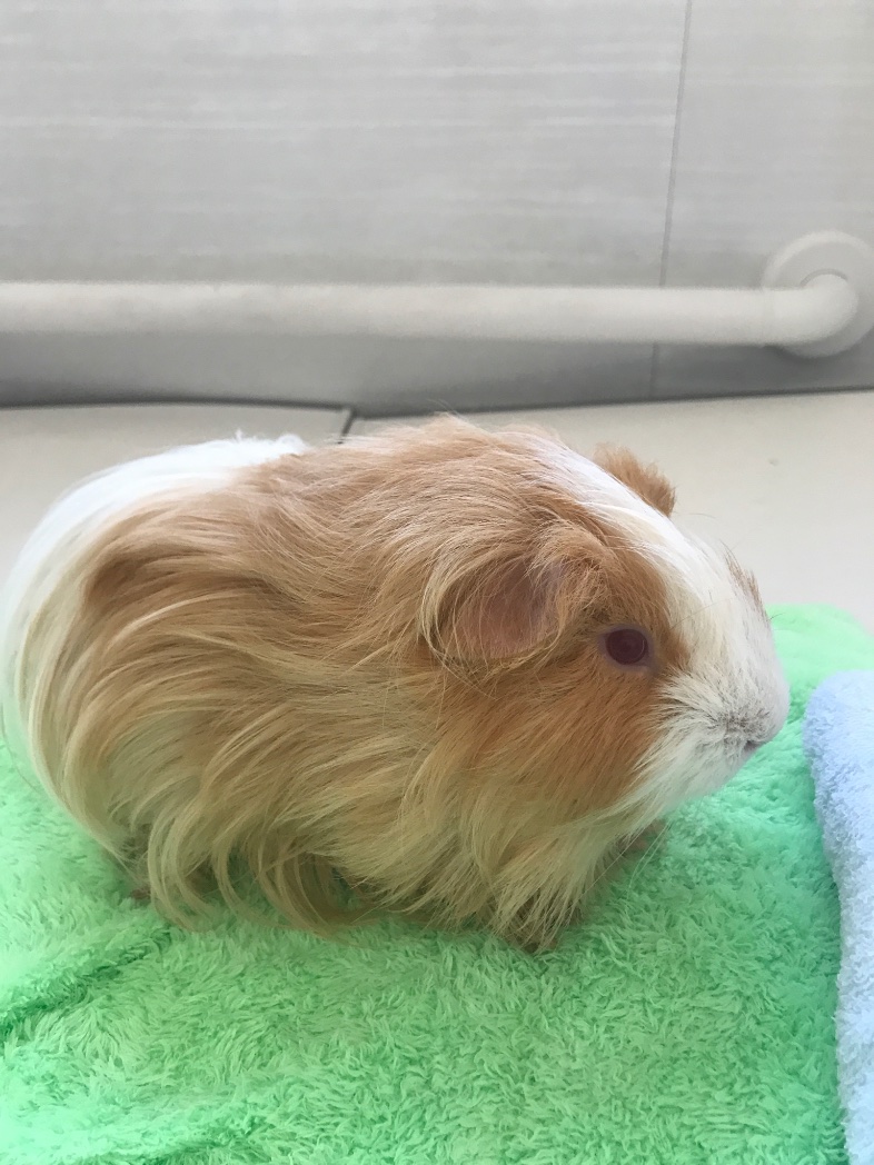 これを見た人は自分がかわいいと思う画像を1枚貼れ これを見た人は自分がかわいいと思う画像を1枚貼れ