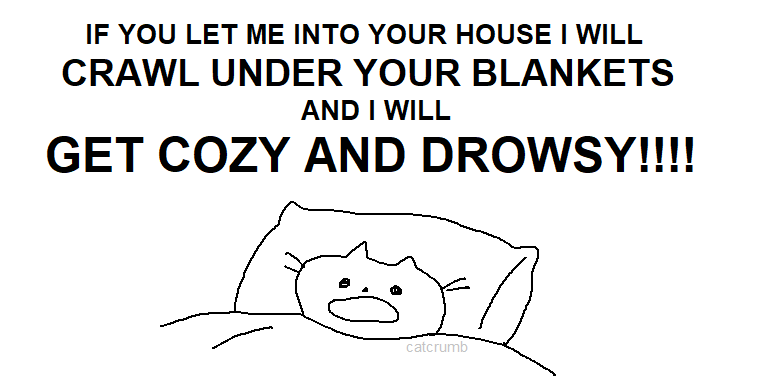 r🐱b (@plounce) on Twitter photo 