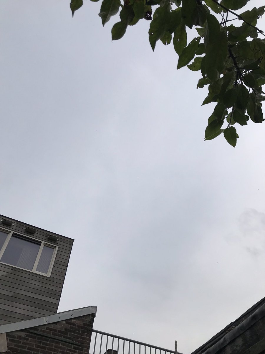 Ik zie nu nog twee gierzwaluwen boven Tilburg 🤔 ( lastig zichtbaar op foto 😊)