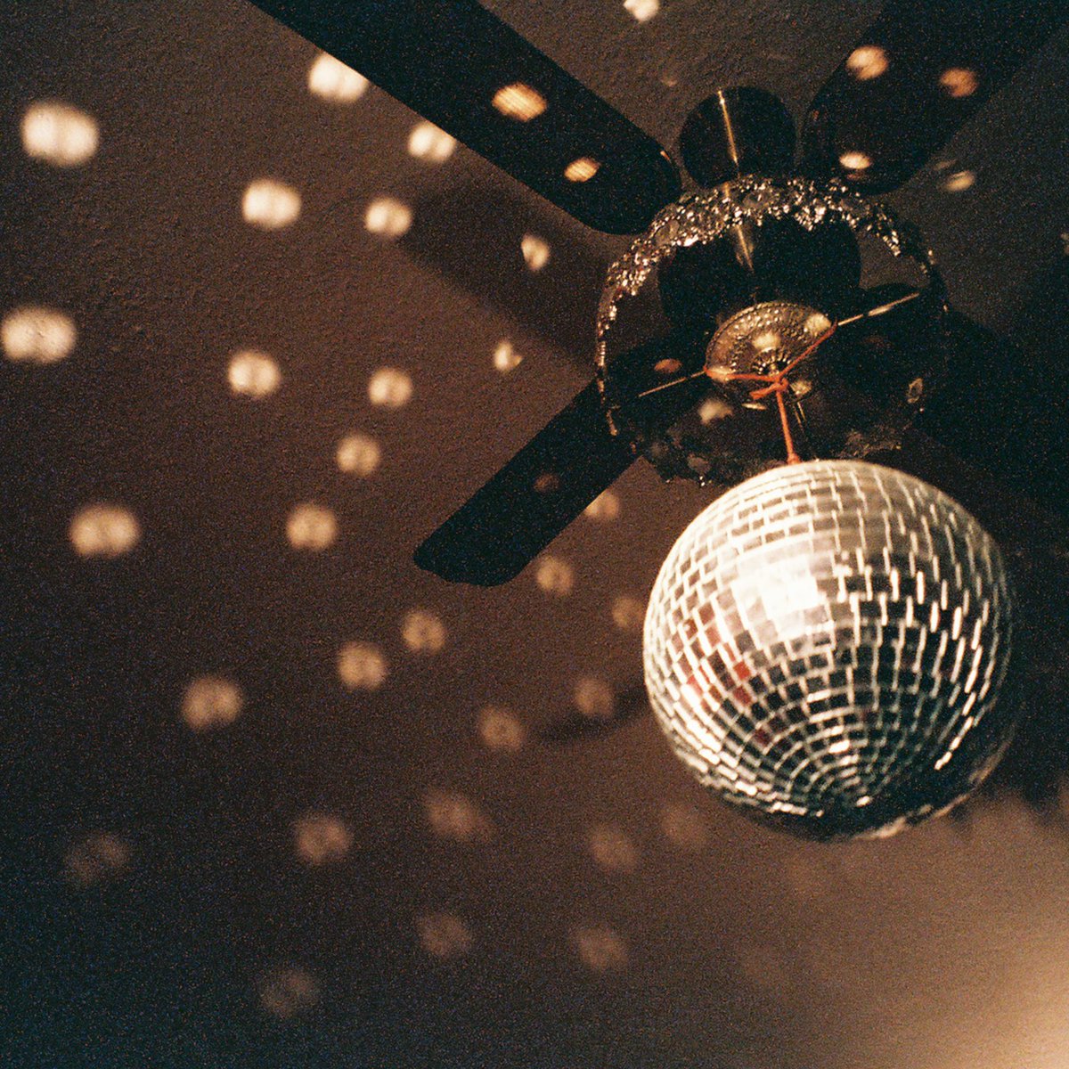 Western Daughter tweet media