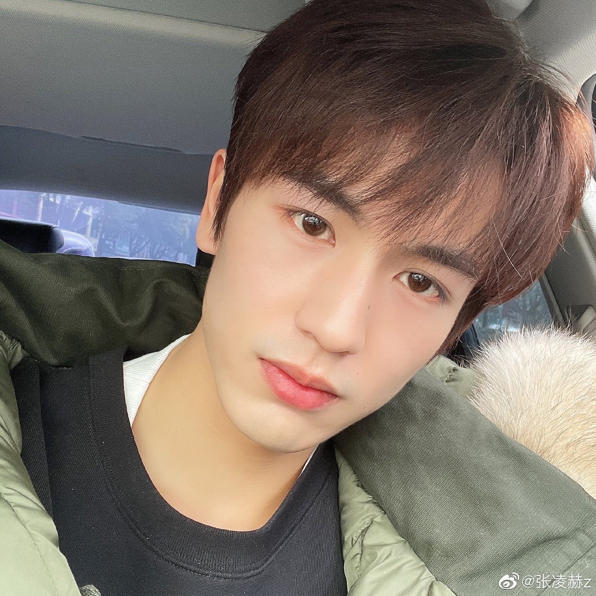 Джан лин хэ. Джан синь чэнь актер. Чжан лин хэ улыбка. Чжан лин актер. Чжан лин хэ хуа чэн.