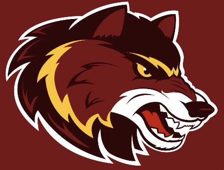 HurQlez's tweet photo. @FourthLongRadio Don’t forget the secret choice: simply Wolves.
#WolvesTerritory
#HuntDownTouchdowns
#DistrictOfCanines
#HowlForAllDC
#AlphaTeam https://t.co/lEK3AyWcrr