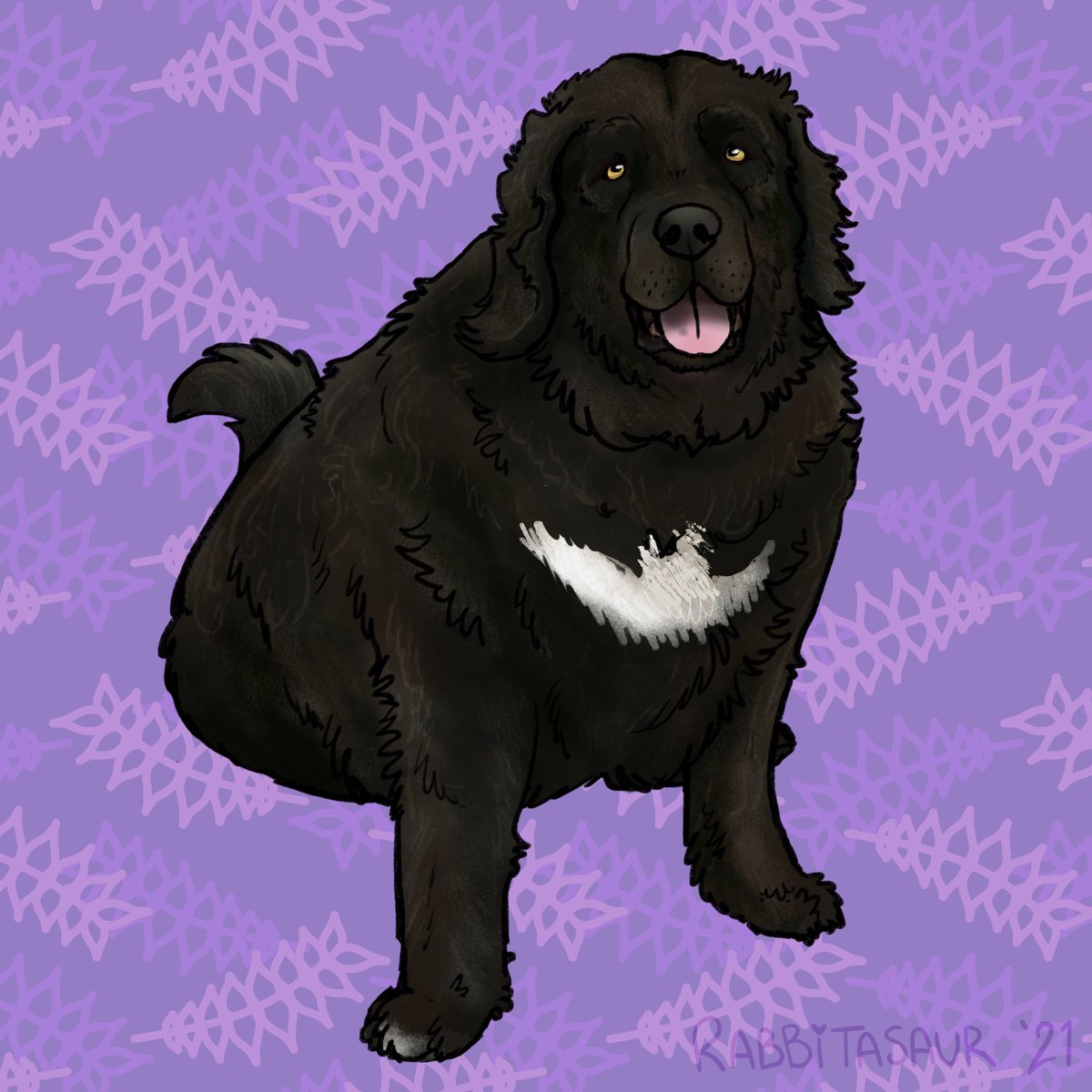 Rabbitasaur's tweet photo. Day 20 Newfoundland aka the Newfie. This is Sheba! A dog I had when I was growing up! She had lots of fur and her only goal in life was to fetch the paper! #Doggust2021 #Doggust #EDCDoggust #Newfoundland https://t.co/U8ob5fMxAJ