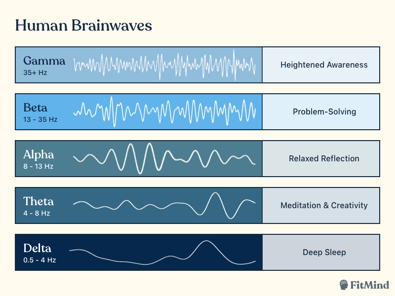 KarenNeverland's tweet photo. Human Brainwaves https://t.co/DhlNa2YlzT