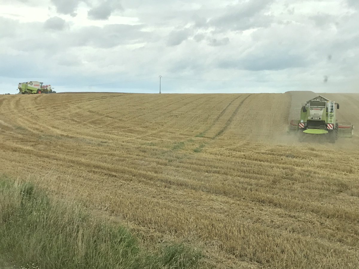 cbrayer02's tweet photo. Merci au voisin d’être venu nous aider à terminer la moisson avant la pluie ! C’est aussi ça la solidarité !🤝 ⁦@usaa_02⁩ https://t.co/xDfAH98ahO