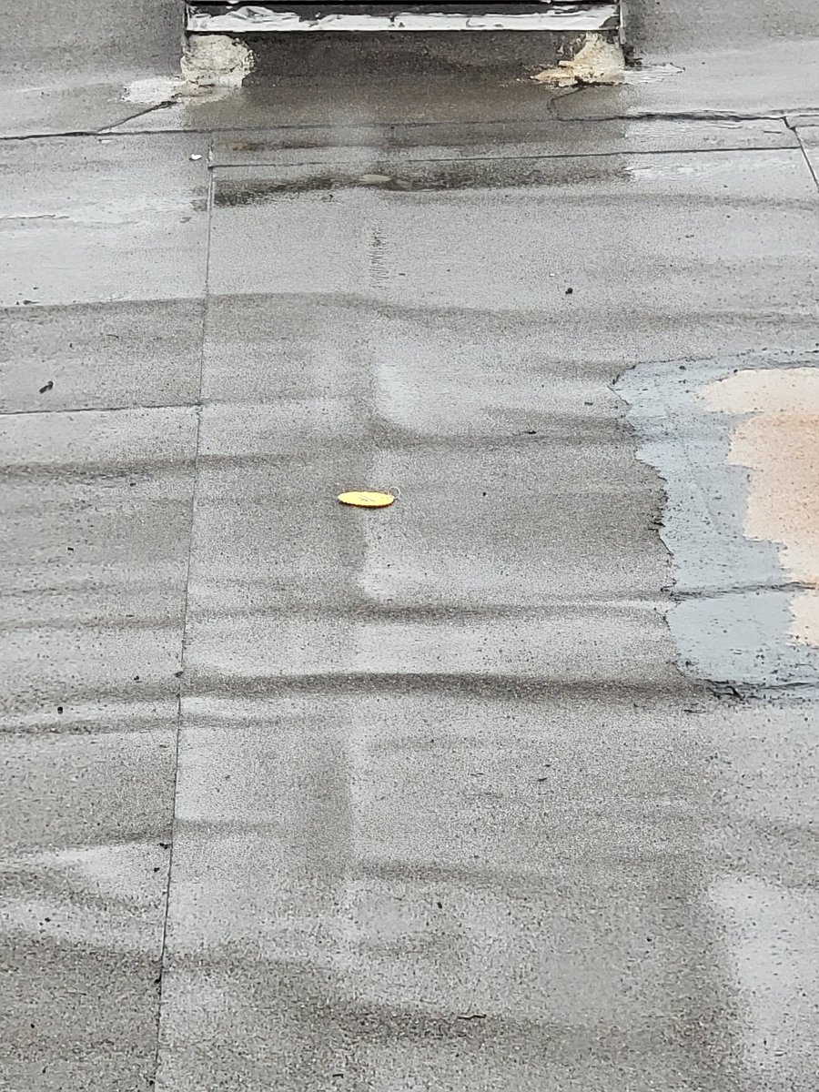C9Mang0's tweet photo. Somehow my summit medal ended up on my neighbors roof 

ROFLLLLLLLLL https://t.co/pnCtX19i78