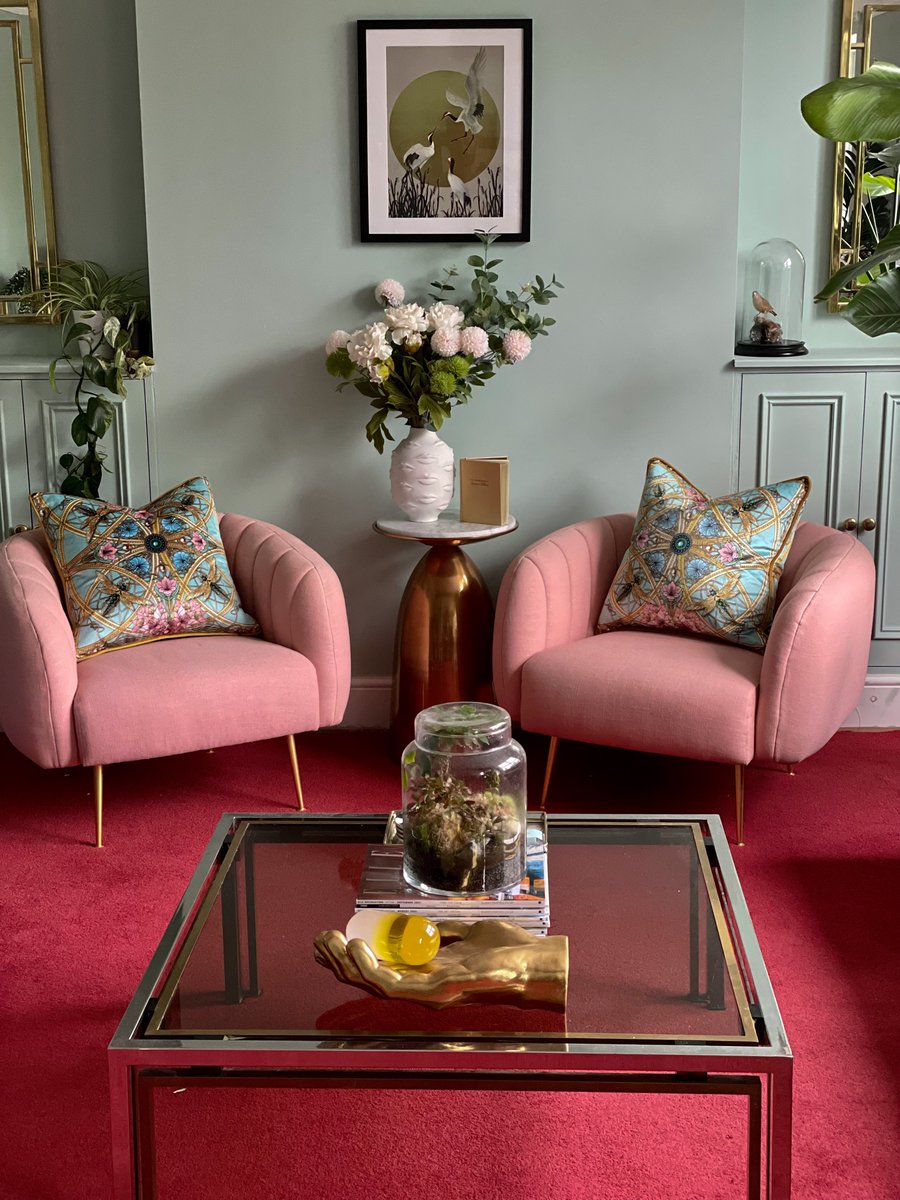 TheCuriousDepartment tweet media