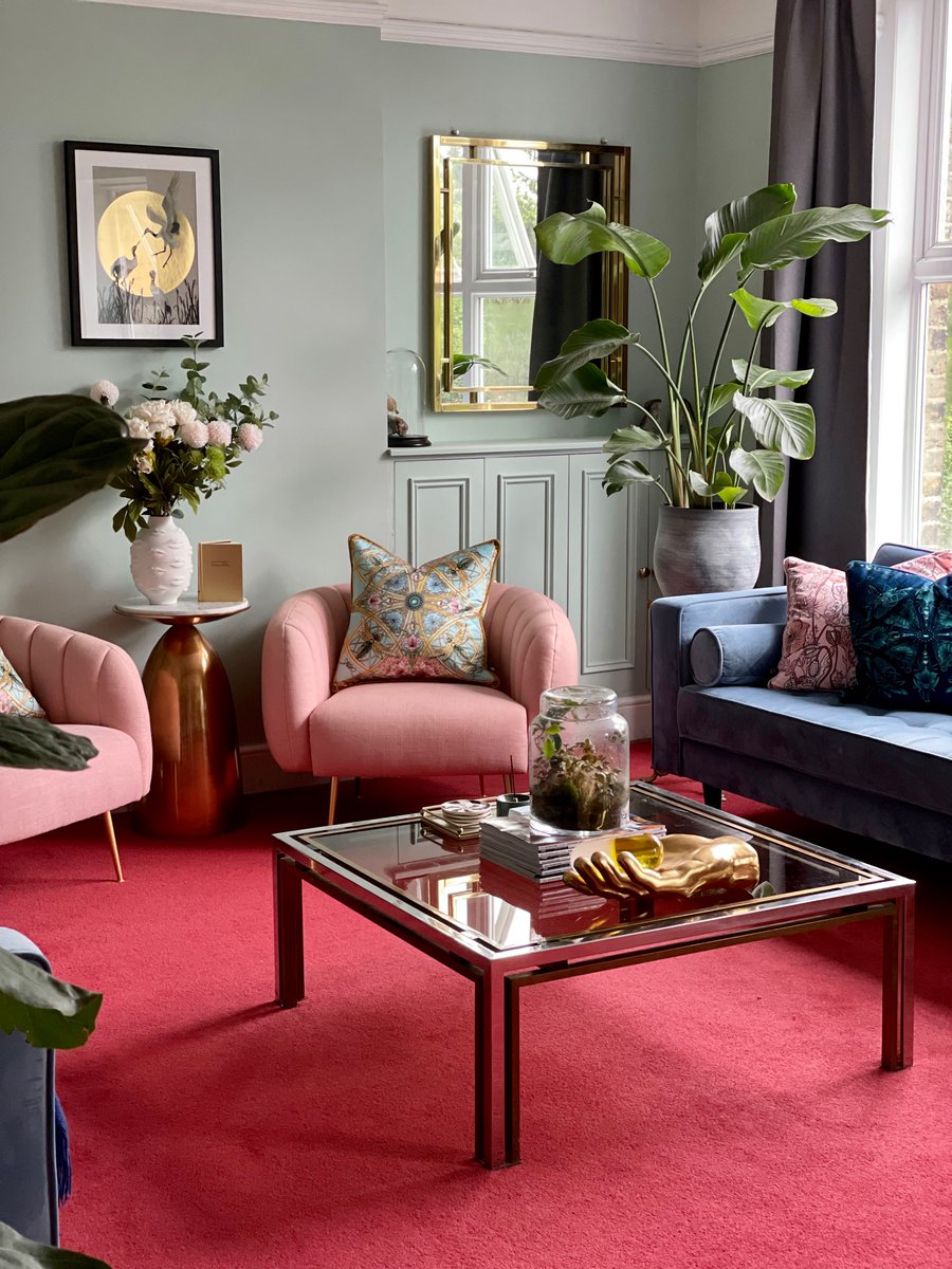 TheCuriousDepartment tweet media