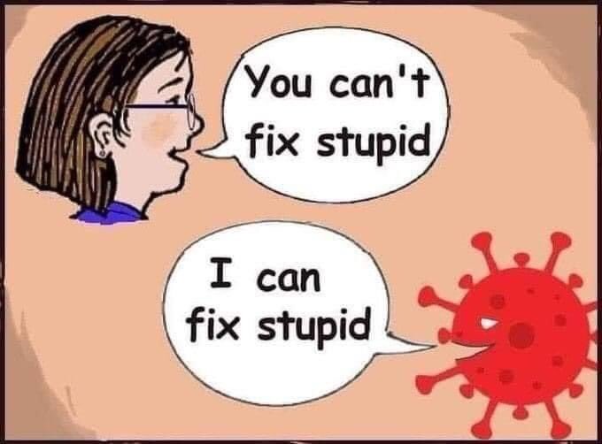 plezurluvr tweet media