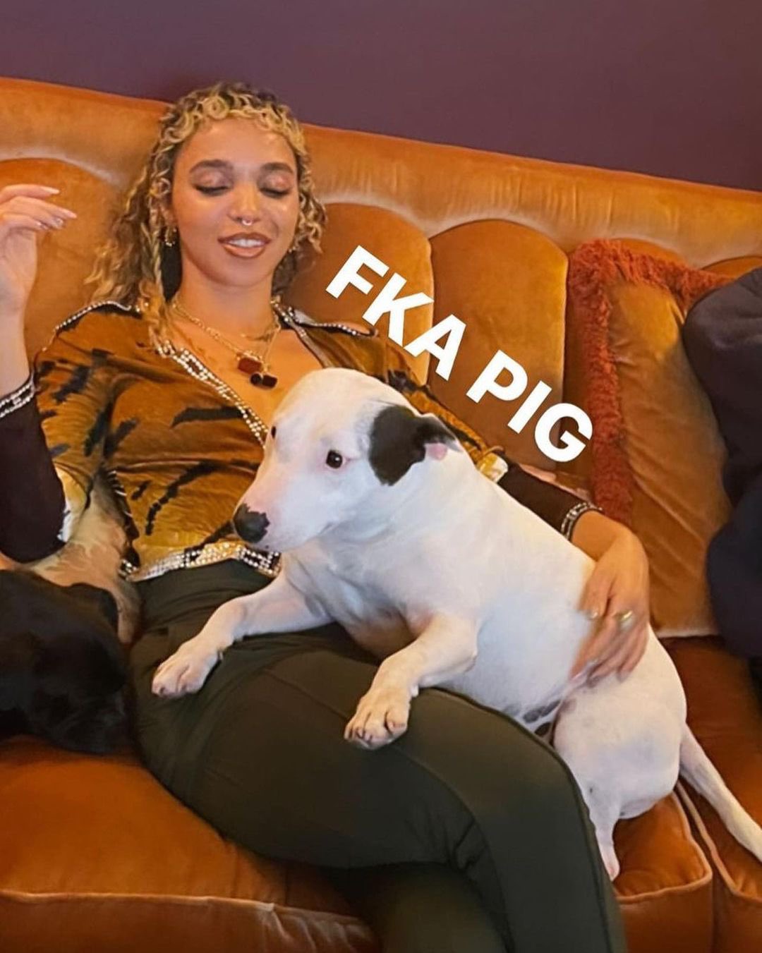 E9VJFENVoAIeYp5?format=jpg&name=large