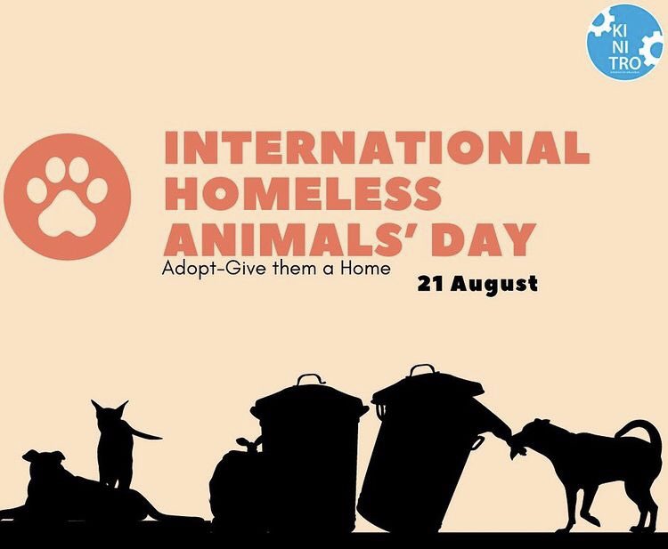 Kinitrongo's tweet photo. Find out how you can contribute to #InternationalHomelessAnimalDay:

✅Adopt a stray animal.
✅Donate to your local animal shelter.
✅Make a donation to a local animal shelter.
✅Encourage people to adopt a pet instead of buying one.
✅Work voluntary at your local animal shelter. https://t.co/d6aGrYFNWD