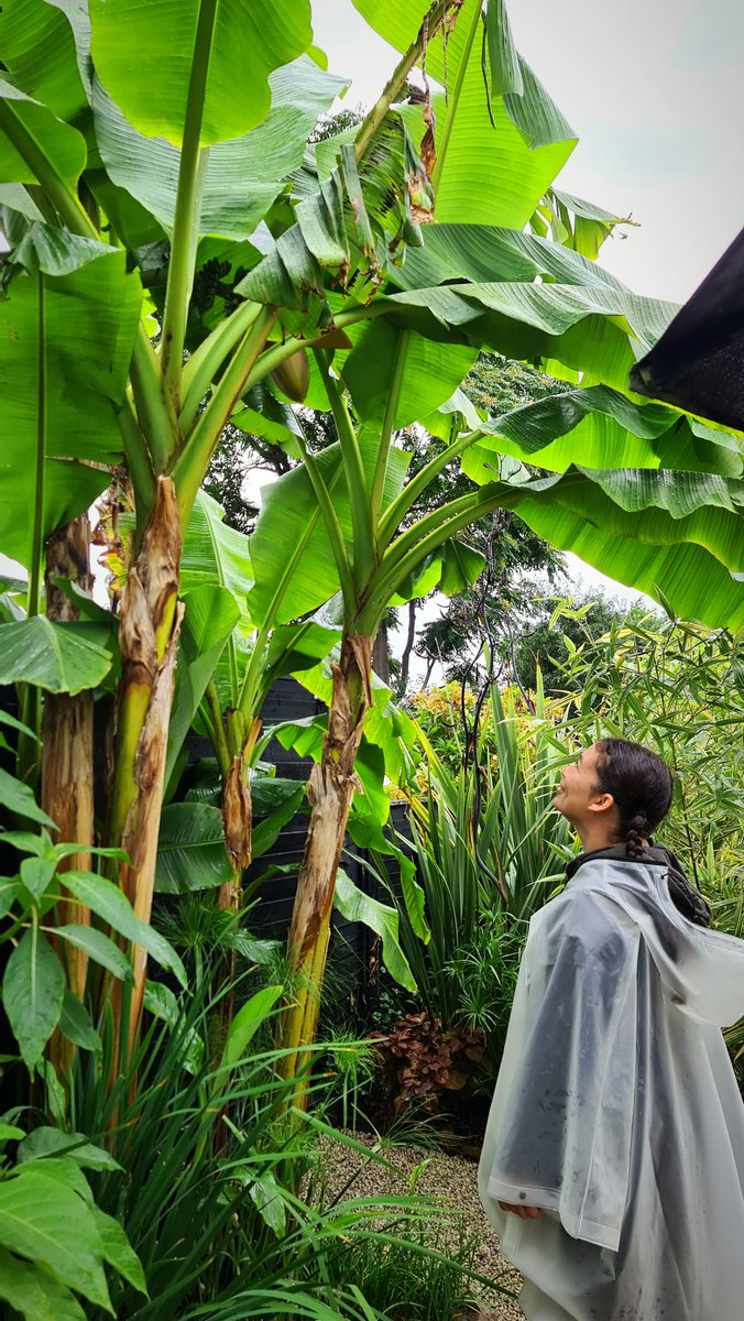 Chris Howell tweet media