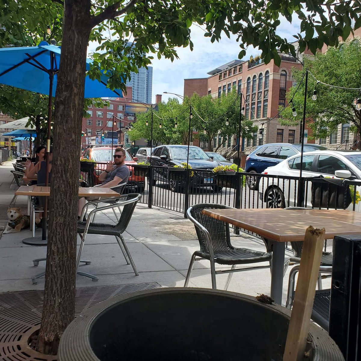 Some #jagoff stole our pepper and rosemary plants.

May their cooking be fruitful.