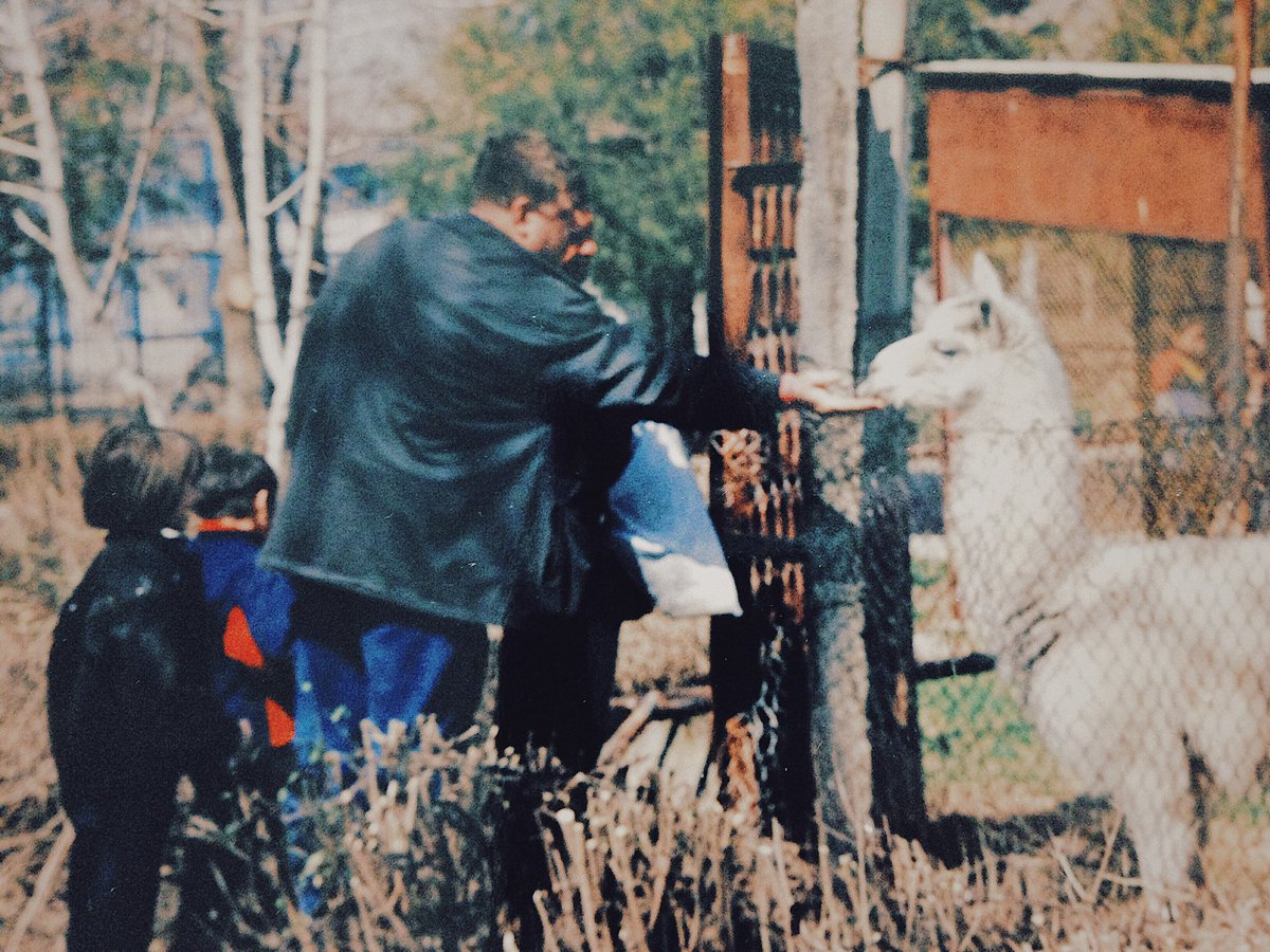 Екатерина tweet media