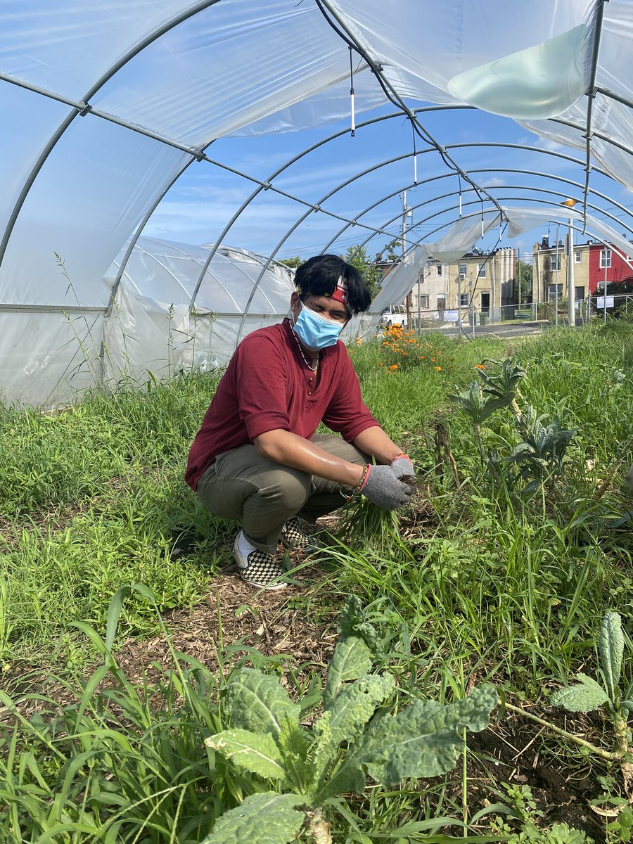 rone1790's tweet photo. Today my HR Expert JC and I volunteered with “Strength To Love 2 Farm”. An amazing Urban farm right here in Baltimore City. Hearing how they provide fresh vegetables for the local community really excited us and we can’t wait to come back in the future to support! Thanks JC🤞🏾💪🏾 https://t.co/5UFs4UjF5N