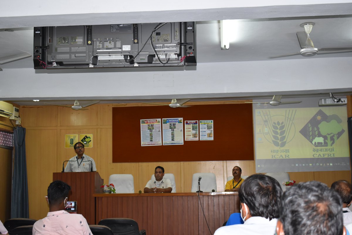 IcarCafri's tweet photo. ICAR-CAFRI organized 16th Parthenium Awareness Week from 16-22 August, 2021
@icarindia #ICAR #icarcafri #partheniumawarenessweek https://t.co/Xu2q7fPIaF