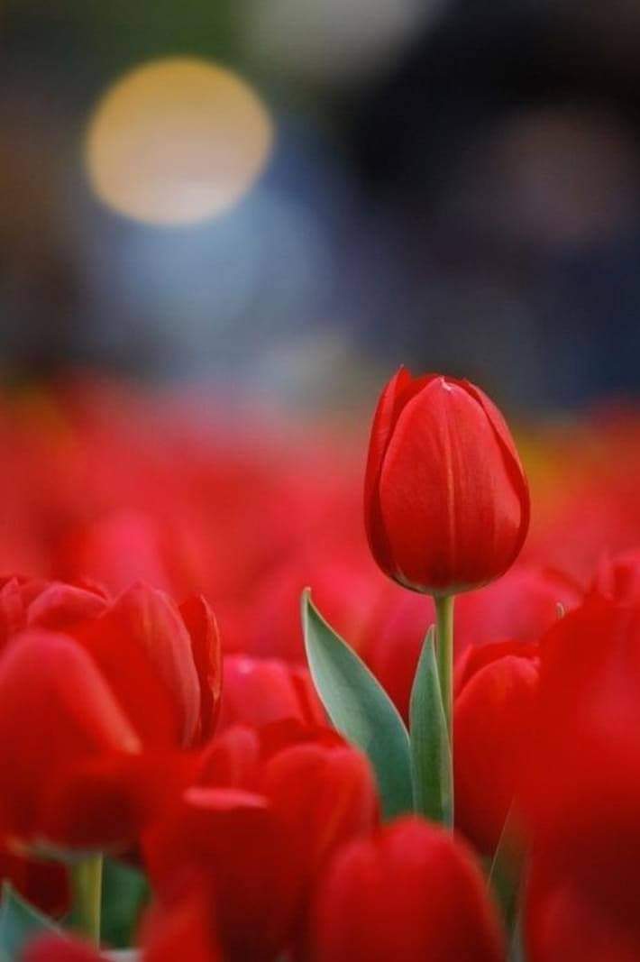 حقيقة . . 
" لغة الاحترام لم تعد مفهومة ، البعض يفسّرها حبّ والآخر يظنّها مصلحة ، وفي الحقيقة ما هي إلاّ أخلاق تربينا عليها "