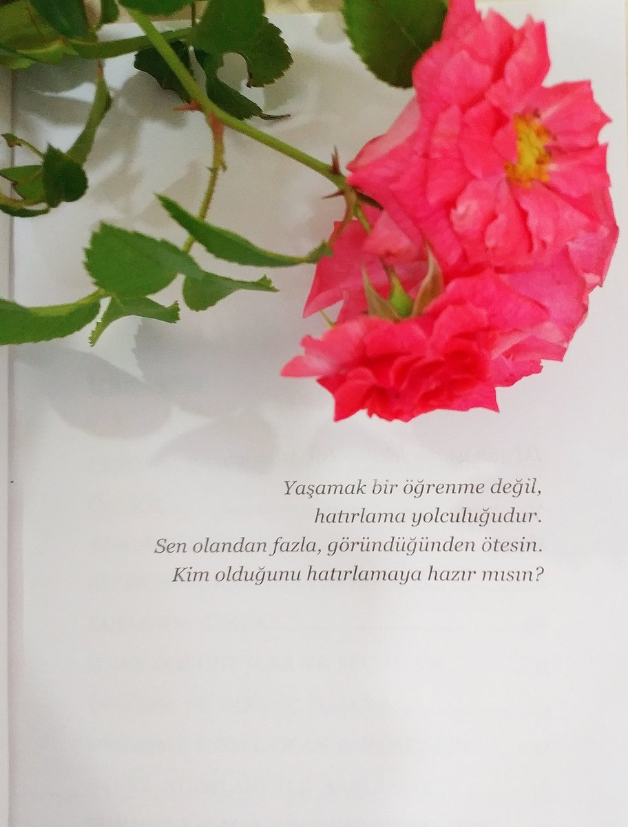 "Yaşamak bir öğrenme değil, 
hatırlama yolculuğudur.
Sen olandan fazla, göründüğünden ötesin.
Kim olduğunu hatırlamaya hazır mısın?"
Alıntı
#Farkındalık #KişiselGelişim #Bursa