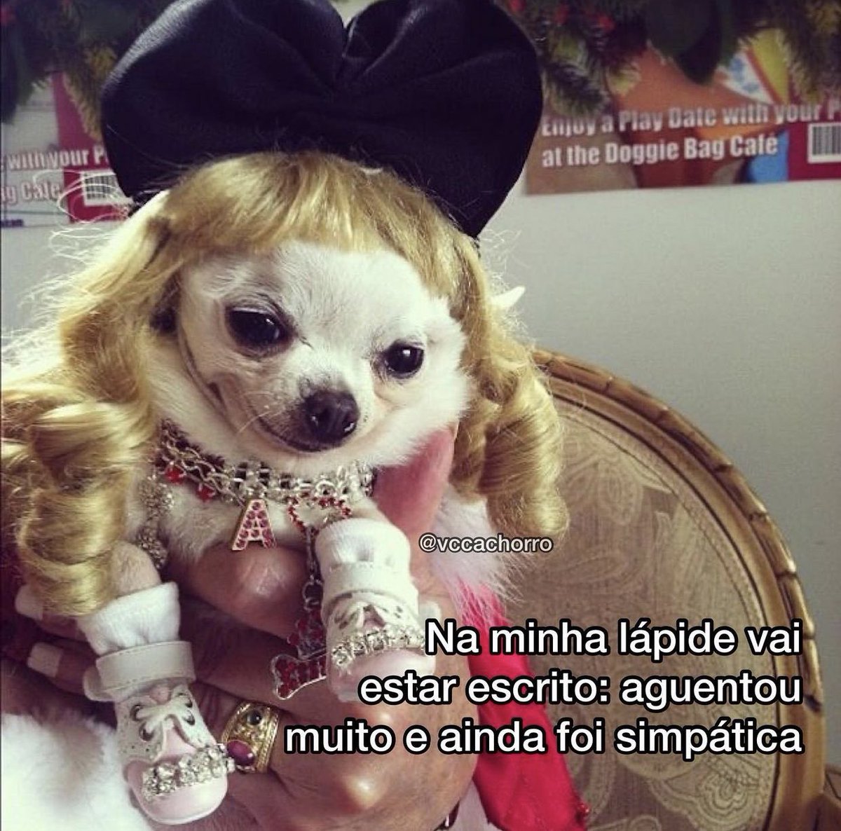 CarolinaMalta's tweet image. 