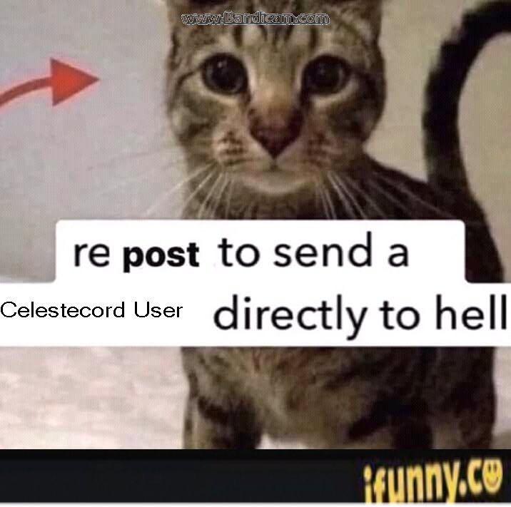 Donker19TB's tweet image. 