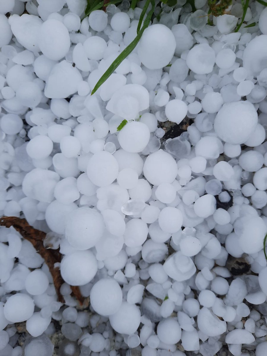 #ElTempsTV3 Imatges d'aquesta tarda a Coll d'Ares <a href="/TomasMolinaB/">Tomàs Molina</a>