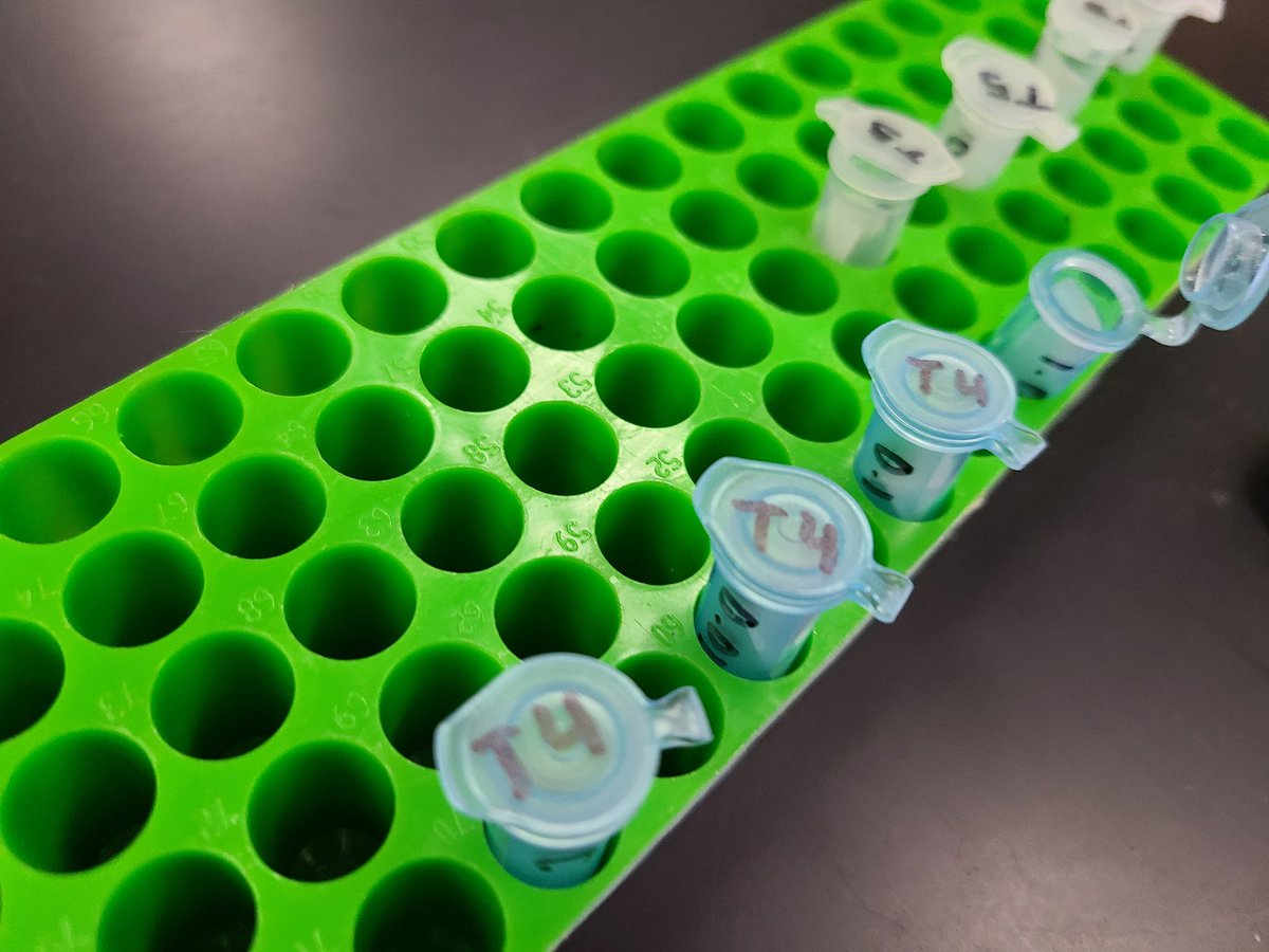 Mary Fish tweet media