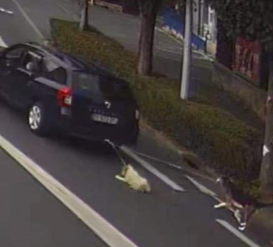 AkyBeauf's tweet photo. Salut les frères y’a un gars dans ma ville il s’amuse à rouler avec des chiens atacher derrière la voiture, c’est à Charleville meziere Rt svp faut retrouver se F2p https://t.co/zdXj1k4QeZ