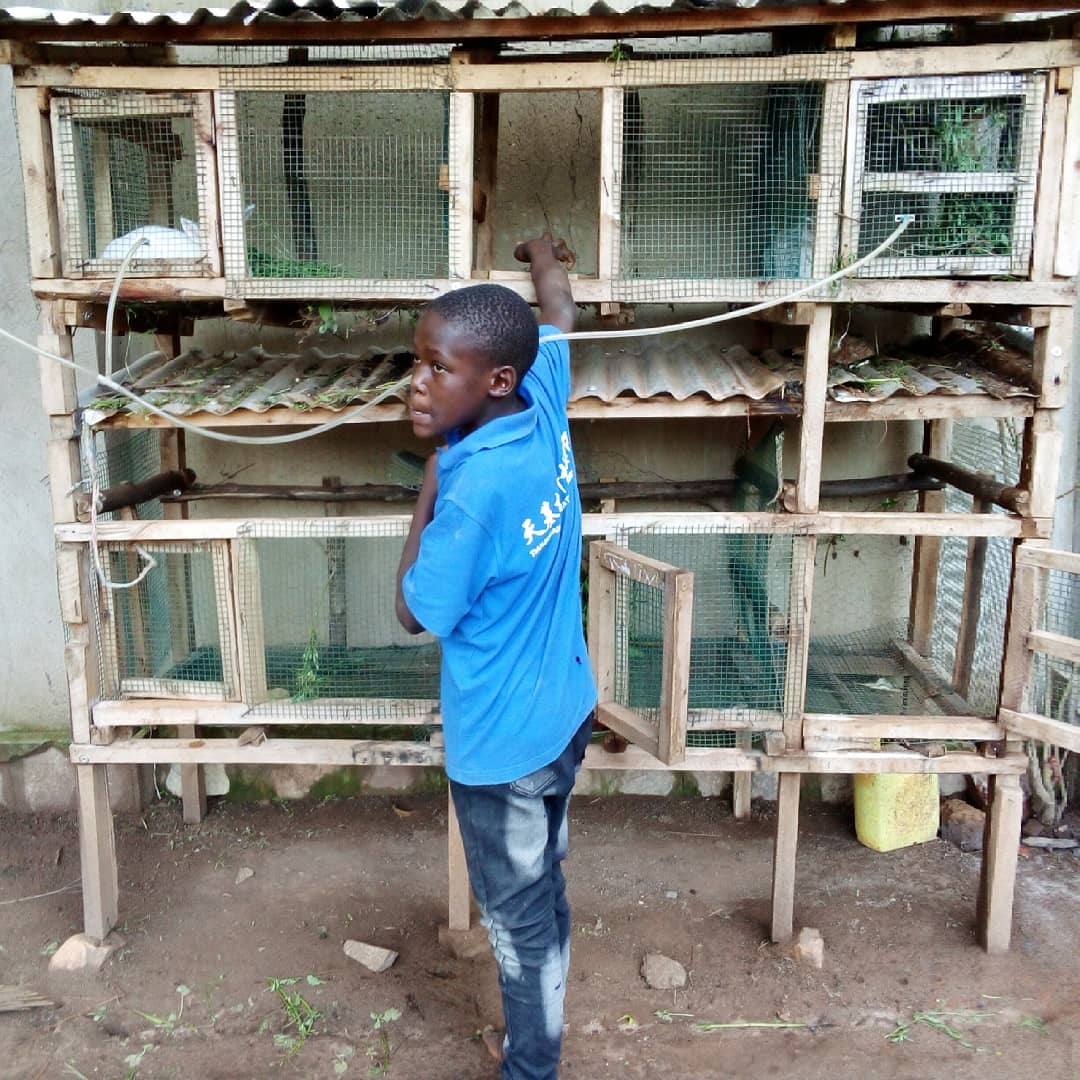 Am blessed to have this young soul with  a modern shelter , he loves animals