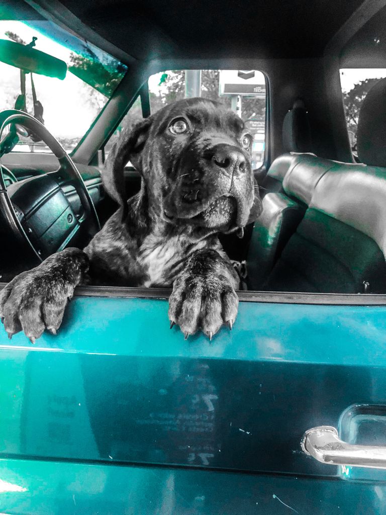 ME Parsons tweet media