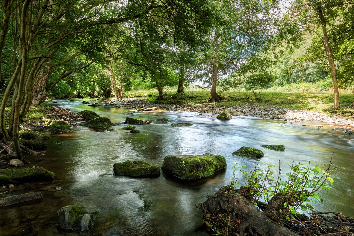 LIFEAfonDyfrdwy's tweet photo. ☀️Afon Ceiriog hudolus, un o brif lednentydd y Ddyfrdwy.

☀️The magical River Ceiriog, one of the main tributaries of the Dee.

📷Simon Kitchin

#LIFEAfonDyfrdwy #LIFEDeeRiver #AfonCeiriog #CeiriogValley #DyffrynCeiriog #RiverDee #RiverRestoration #NaturePhotography #longexposure https://t.co/NeZyCsAWRB