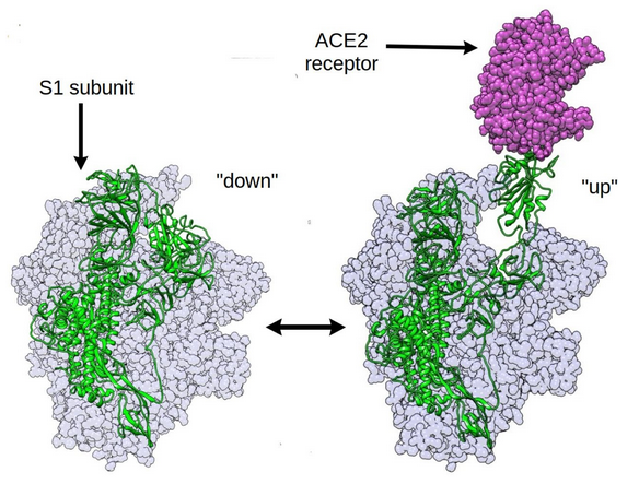 Dhiman Ray tweet media