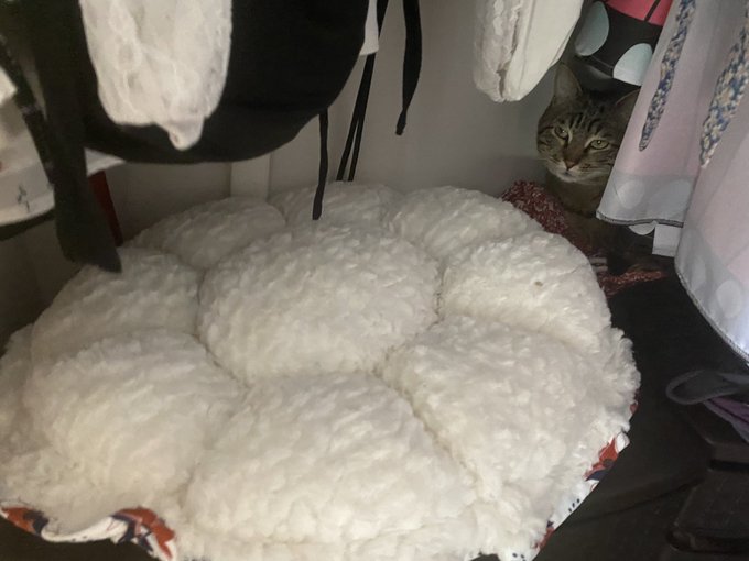 Watch kitty ♡'s leaked NSFW photo on TwXstars