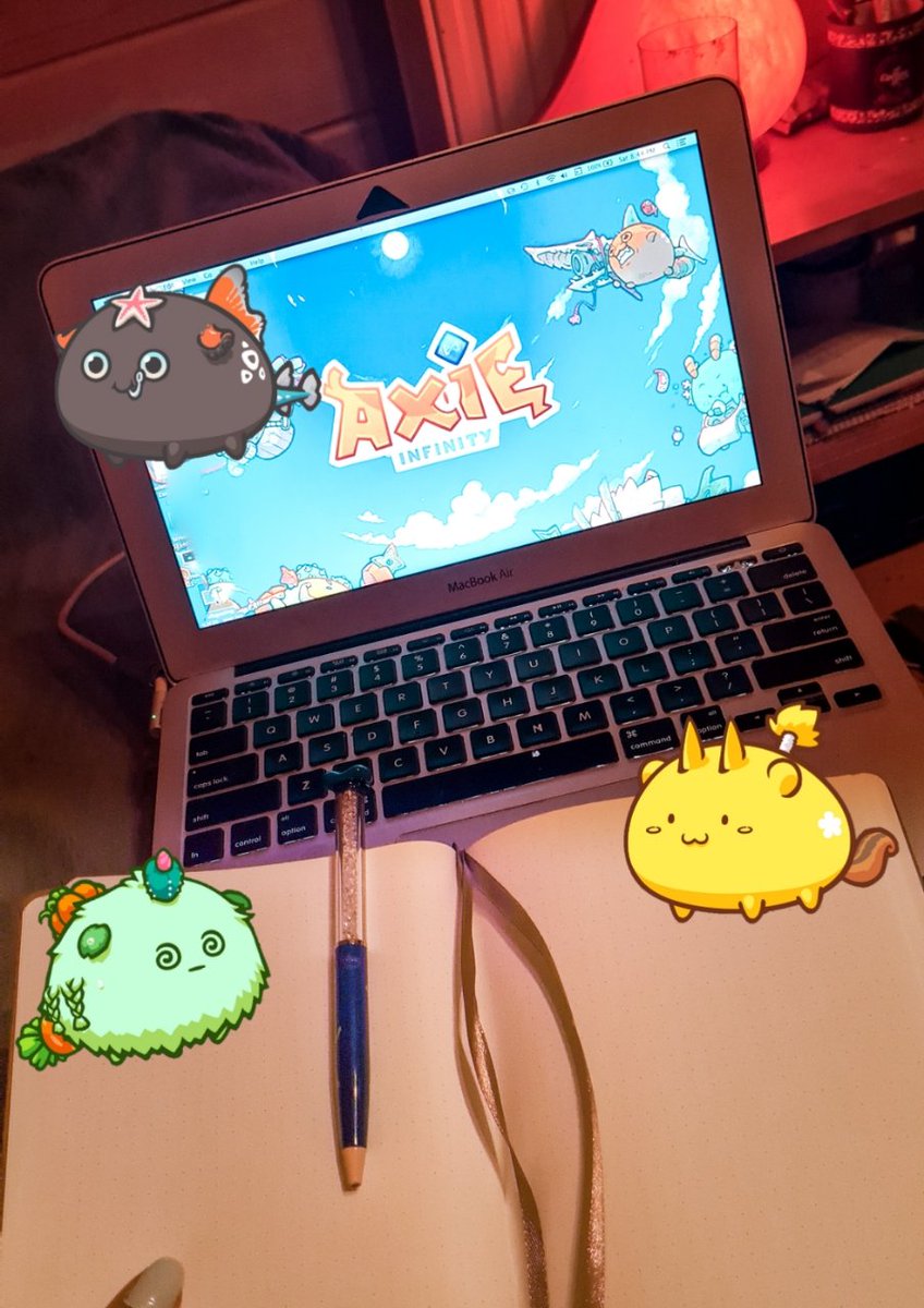 Questing Sushi tweet media