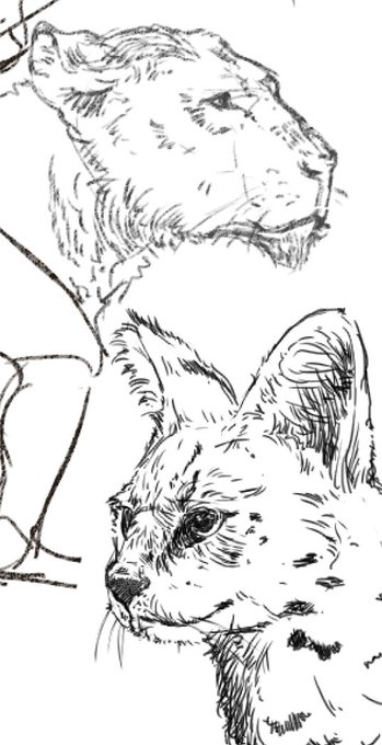 動物園で撮った写真から

いつもより少し楽しく描ける 