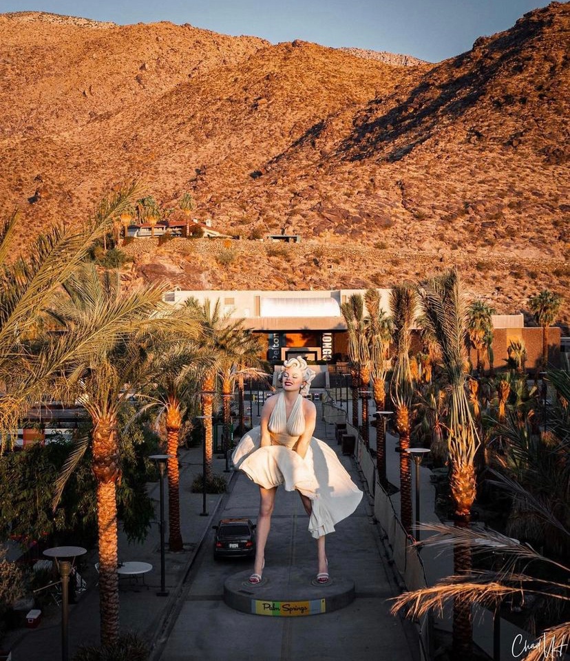PalmSpringsCA's tweet photo. Beautiful photo captured in @downtownpalmsprings by @chad.vh ๐ด๐ค #HelloPalmSprings https://t.co/s1Opss8wGo