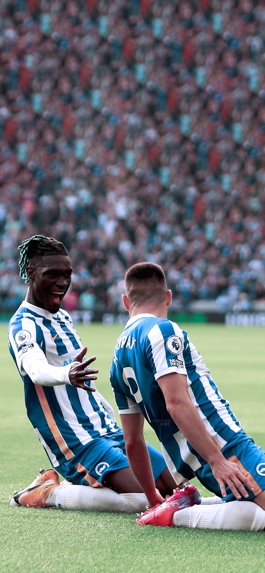 Brighton fc twitter discount