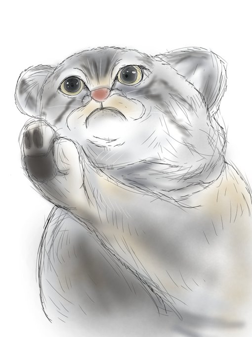準絶滅危惧種のtwitterイラスト検索結果