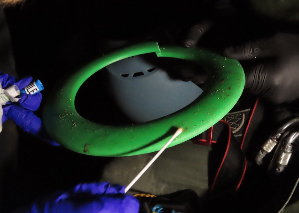 sealfollower's tweet image. Please consider not buying these cheap plastic hoops, buy a full frisbee instead. When left behind on beaches, they get swept out to sea and our lovely inquisitive seals get them trapped around their necks, this seal was saved #thinkbeforeyoubuy #theyneedourhelp #mylifebythesea