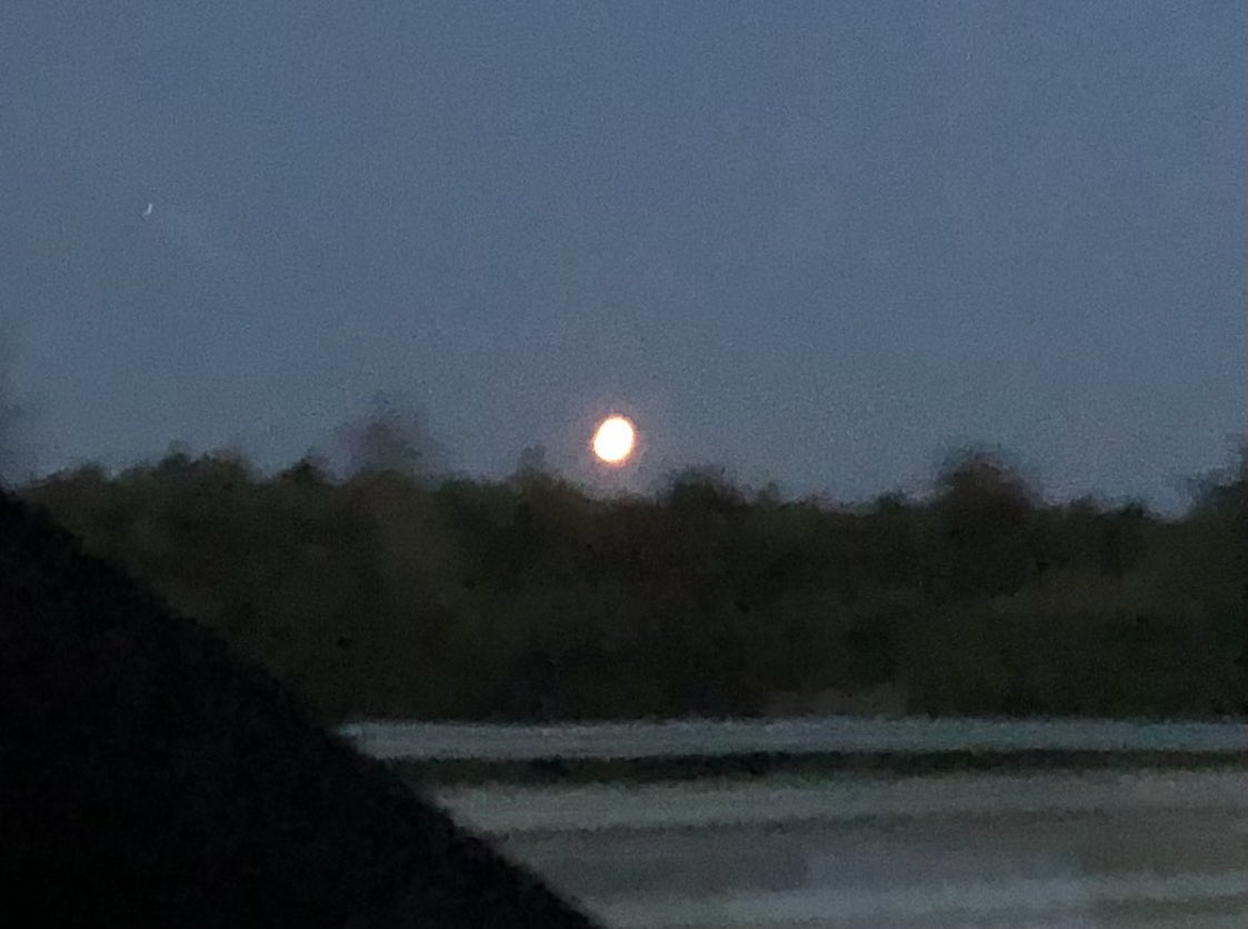 Vi hittade 2021 #blodmåne ! #2021BlodMåne