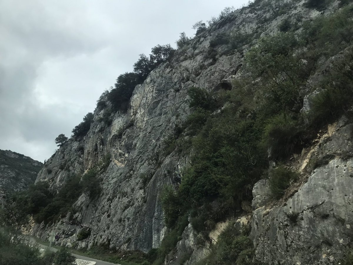 Le plus beau bouquetin du monde a été peint il y a 15.000 ans dans la grotte de #Niaux, non loin de #Foix, dans un site d’une beauté confondante