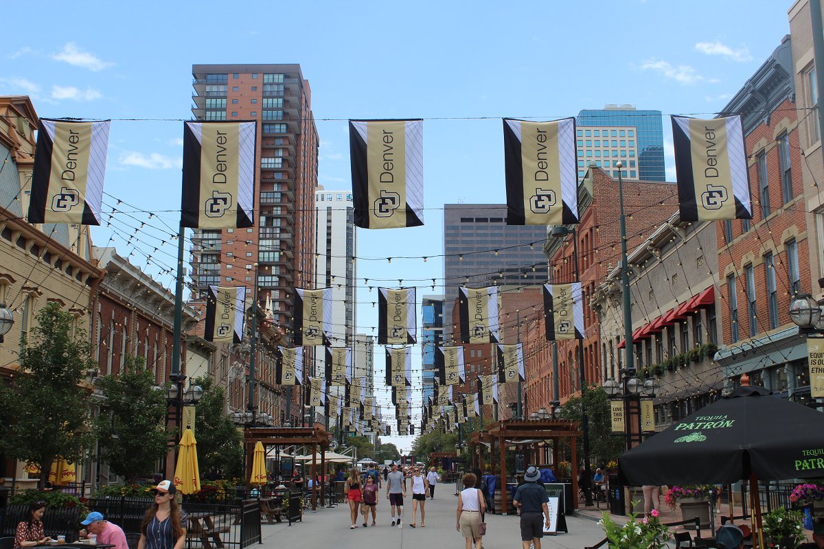 CUDenverAlumni's tweet photo. 😻😻😻 

@CUDenver @LarimerSquare https://t.co/sRJDXU5cMh