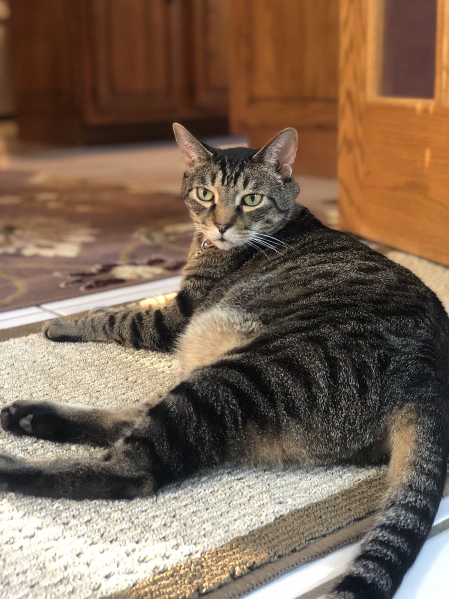 Toby Talwar tweet media